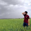 amirreza_zarkesh